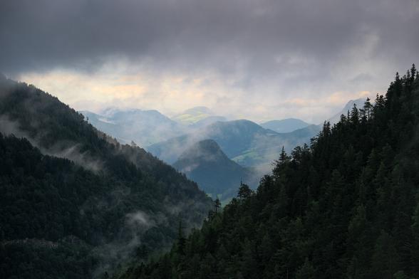Stimmungsvolle Berglandschaft in Oberösterreich kurz vor Sonnenuntergang. Die Szenerie wirkt ruhig, atmosphärisch und leicht mystisch – typische Stimmung nach einem Sommerregen.