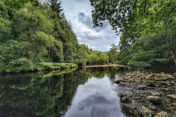 A serene landscape photograph of a calm river surrounded by lush green trees and a rocky bank. The cloudy sky and surrounding forest are perfectly reflected on the still surface of the water.