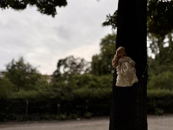 Eine Puppe in einem weißen Spitzen-Kleid ist an einem Baumstamm befestigt, im Hintergrund ist ein Park mit Hecken