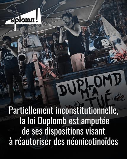 Partiellement inconstitutionnelle, la loi Duplomb est amputée de ses dispositions visant à réautoriser des néonicotinoïdes.