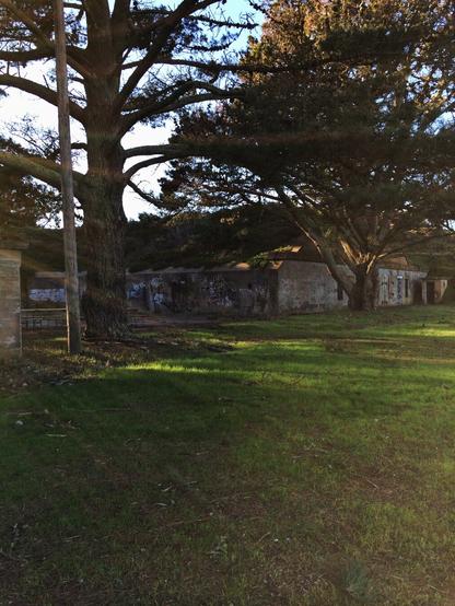 A photo of a flat semi-grassy area with a couple of trees in front of an abandoned one story building with rays of light leaking through from the left and curving downwards to the right.