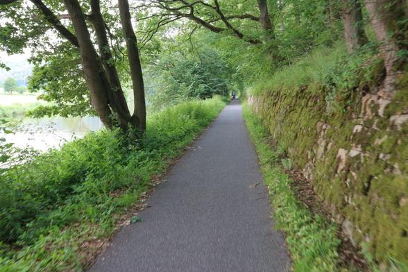 Fulda-Radweg Kassel - Hann Münden: Zu sehen ist der hier 1,7 m bis 1,8 m breite Radweg außerorts.  Die enge Talstrecke ist seitlich  mit Bäumen bewachsen. Links findet sich der Fluss Fulda. Rechts oberhalb der Mauer liegt die Bundesstraße 3 m. Der von Fuss e. V. verlangte Überholabstand von 1,5 m ist hier, wie auf den meisten kombinierten Geh- und Radwegen außerorts deutschlandweit im Bestand, nicht einzuhalten. 

Eine Verbreiterung des Weges auf 3 m oder eher 3,5 m ist hier aufgrund der Topografie nicht realistisch.  

Wenn hier überholt wird kommt, vor allem § 1 der StVO "Rücksicht und Vorsicht" zum Tragen: 

1. Frühzeitig Klingeln. Geschwindigkeit aus den Pedalen nehmen.
2. Schauen ob der zu überholende Verkehrsteilnehmer die Klingel gehört hat und sich z. B. umsieht. 
3. Langsam vorbeifahren und am Besten noch einen "Guten Tag " wünschen.