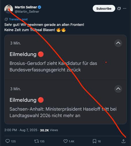 X-Screenshot von Martin Sellner. Der Rechtsextremist teilt ein Foto mit zwei Headlines zu Rückzügen von Frauke Brosius-Gersdorf und Ministerpräsident Haseloff. Sellner schreibt dazu: „Sehr gut! Wir gewinnen gerade an allen Fronten!“