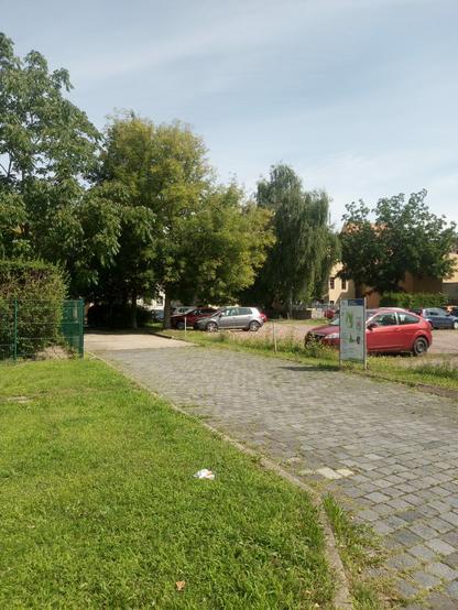 Ein Stückchen Rasen, Bäume, Autos.