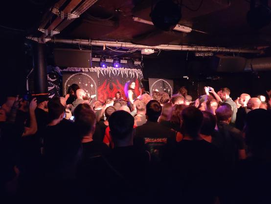 Photo of a metal concert in a small club. The photo is taken from behind the crowd and the stage is partially obscured by the many hands raised.