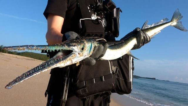 ヤベェ島に行ってきた