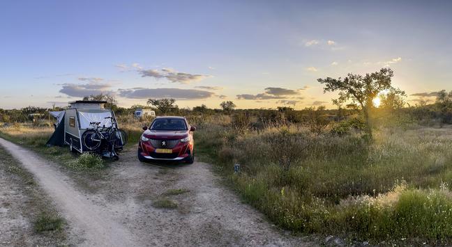 A small trailer with two bicycles mounted on the back camping at Bubulcus & Bolotas in late Spring. The sky glows warmly with the setting sun peeking through a tree on the right. Wild grasses and scattered trees stretch across the landscape, adding a serene and natural atmosphere. 
Photo taken by Hans Kerchman at Bubulcus & Bolotas.