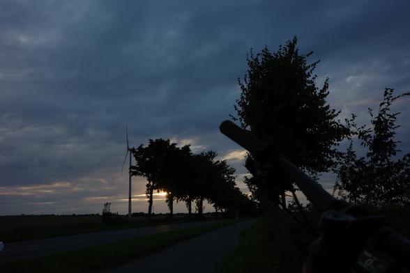 The setting sun shimmers through a cloudy blanket, colouring a small section of the asphalt of an avenue red. The trees lining the road appear as black silhouettes. The left half of a black bicycle handlebar with black grips and the black stem are partially visible.