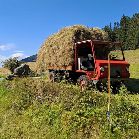 A red Rapid alpine transporter is parked on a sunny mountain meadow, heavily loaded with freshly harvested hay. In front of the vehicle, a hay fork with a wooden handle is stuck upright in the grassy ground. The scene is set against a backdrop of rolling hills, scattered wildflowers, a large boulder, and a clear blue sky with forested slopes in the distance.