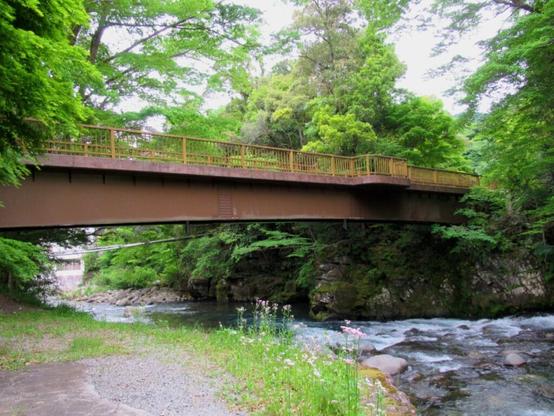 静岡県で「夏に行きたい穴場の温泉地」ランキング！ 2位「天城湯ヶ島温泉郷」、1位は？【2025年調査】 - All About ニュース