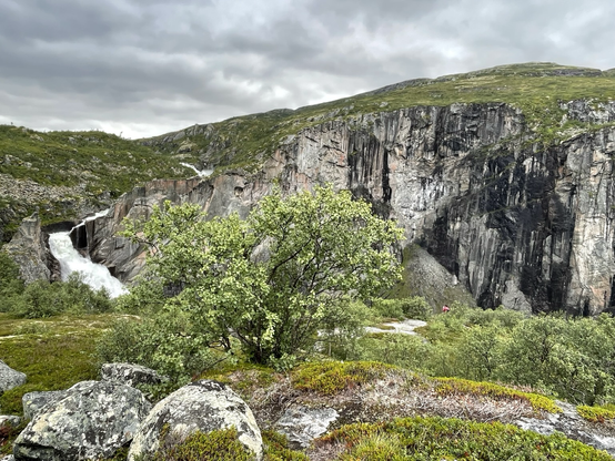 Das Bild zeigt eine beeindruckende Landschaft mit einem Wasserfall, der aus einem tiefen Felsental stürzt. Der Wasserfall fließt durch eine schroffe, steile Felswand, die mit dunklen Vertiefungen und Felsformationen versehen ist. Im Vordergrund befindet sich ein grünes Buschwerk, das von einer Mischung aus Gras und Moos bedeckt ist. Ein einzelnes, grünes Baumchen steht im Vordergrund, das die natürliche Schönheit der Umgebung unterstreicht. Der Himmel ist bedeckt mit grauen Wolken, was dem Bild eine dramatische Atmosphäre verleiht. Die Felswände sind von verschiedenen Grautönen und schwarzem Fels geprägt, was die natürliche Schönheit und die geologische Vielfalt der Landschaft betont.