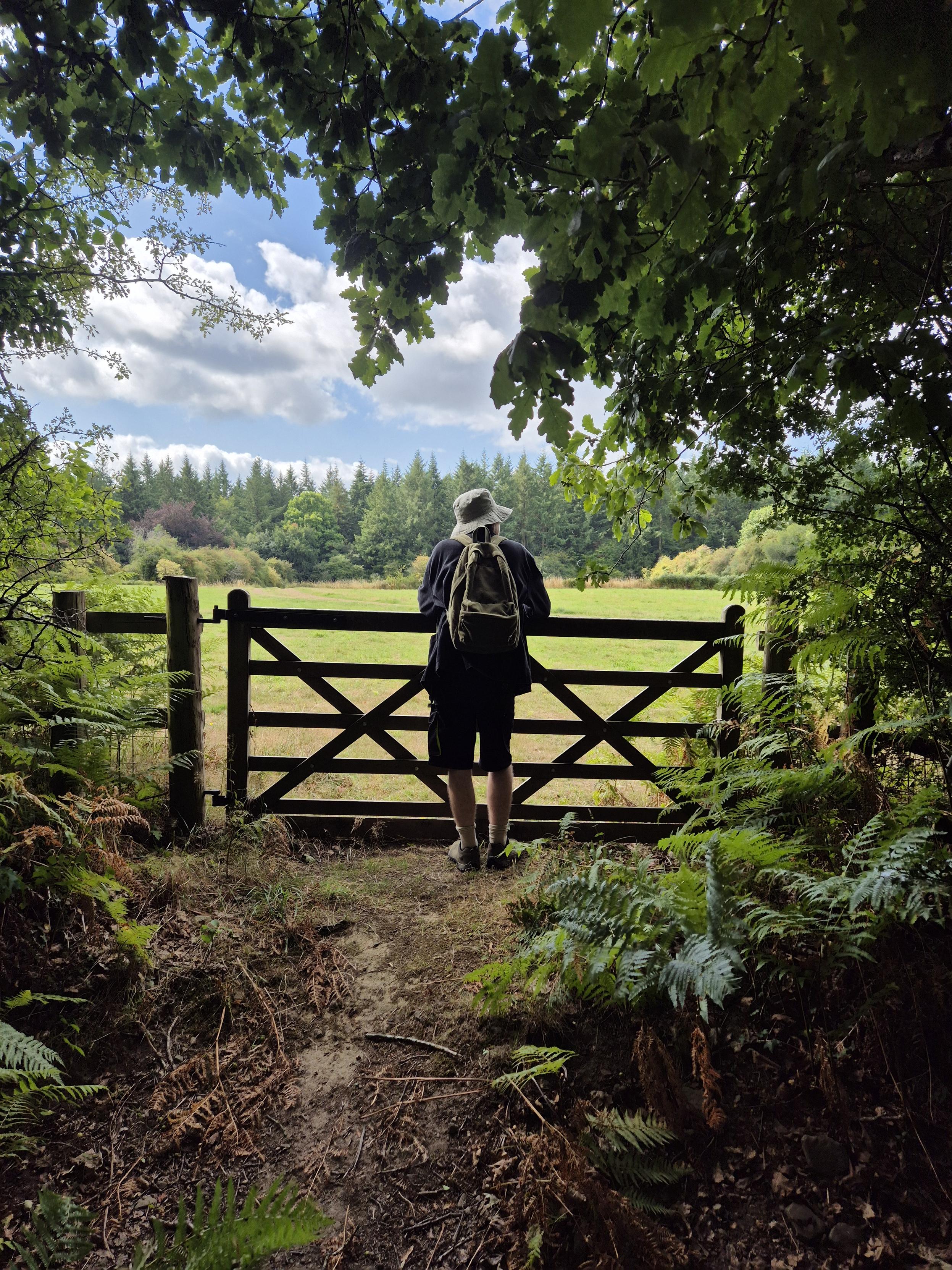 Chris is staring out onto a green field from a gate, surrounded by trees