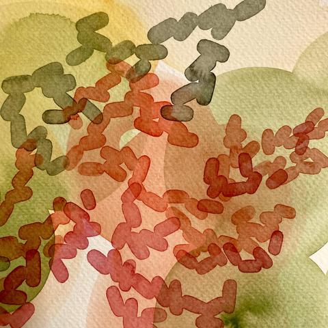 A cropped close-up of a watercolour sketch that has five layers of lightly applied paint in shades of yellow ochre, orange red, sap green, and red. The bottom layers are circular washes of pale green and red. The upper layers are strings of lozenges that are like rod-shaped bacteria in orange, red and muddied sap green.