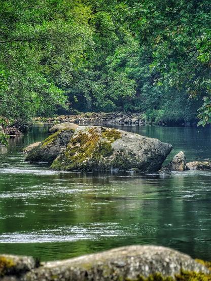 A wide shot of a river flowing over a large moss-covered rock formation in the centre of the image. The water is dark and reflective, bordered on both banks by dense, green trees and lush foliage. The foreground features a blurred out rock, and the overall scene conveys a sense of peaceful nature.