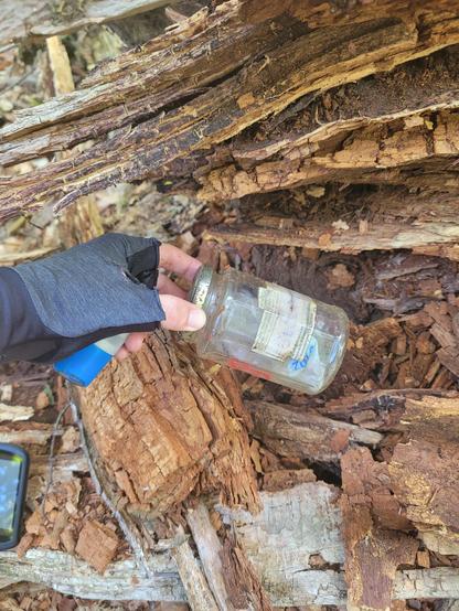 Bocal en verre servant de contenant de géocache dans un tronc d'arbre