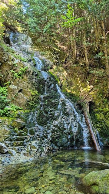 Woodland Falls, Summer Flow Edition.  A gentle cascade makes its way down shiny, wet rocks to a small clear pool.  It's a clear, sunny day, but everything has a mossy hue as this oasis from the summer heat has lush forest canopy above, and around it.  I haven't done this trail for a few years, it's a moderate trail with some difficult stretches.