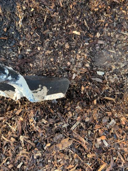 A shovel leans against the mulch trench showing the depth of about 8-10"