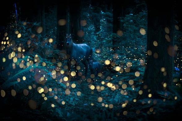 In a dark forest, a deer stands in the middle of the picture, surrounded by lots of glowing fireflies, giving it a jaw-dropping atmosphere - magical!