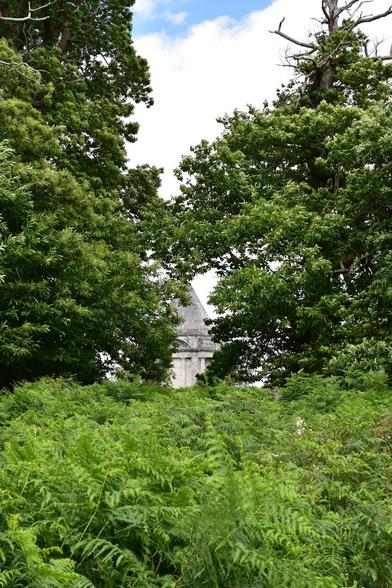 A glimpse of a stone building’s pyramid roof peeks through dense green ferns and leafy trees under a bright, cloudy sky.