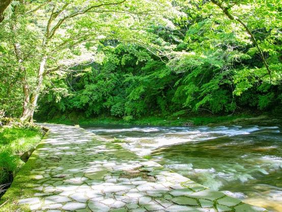 好き＆行ってみたい「千葉県の森林浴スポット」ランキング！ 2位「養老渓谷」、1位は？【2025年調査】 - All About ニュース