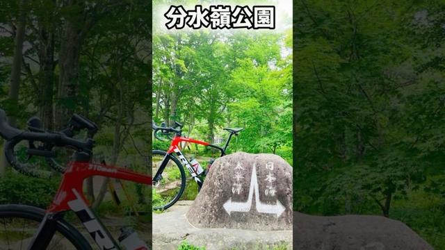 【岐阜県チャリで制覇】郡上市編 #roadbike #ロードバイク #岐阜県 #郡上市 #郡上おどり
