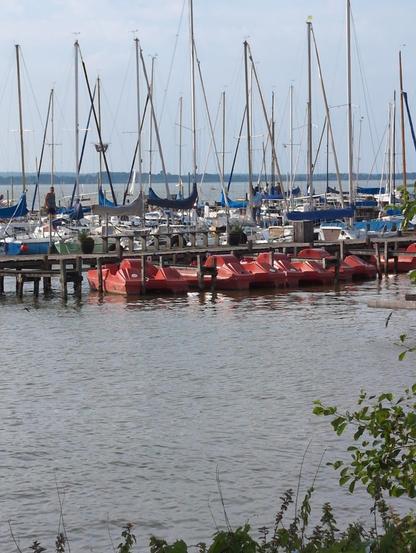 Segel- und Tretboote an einem Steg auf dem Dümmer