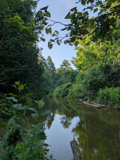 A peaceful river scene in early morning. Lush green trees and shrubs in either side of river. blue sky in background. Still water with reflection.