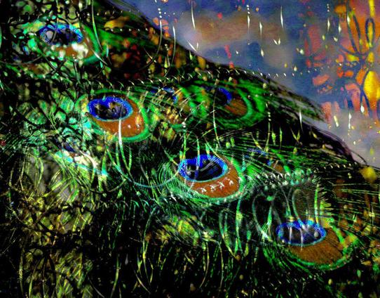 Drei übereinandergelegte Fotos von Pfauenfedern, einer Gänsefeder und den Spiralfedern einer Matratze.

Three superimposed photos of peacock feathers, a goose feather and the coil springs of a mattress.