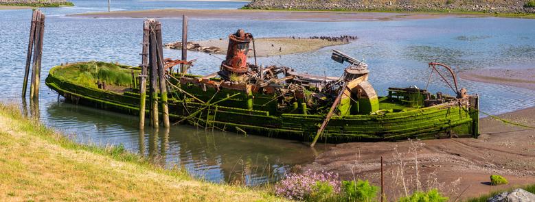 An abandoned, rusted ship covered in green moss rests in shallow water. Wooden pilings are visible nearby, with a backdrop of grassy banks and a calm river.