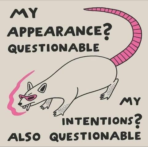 An image of a rat with a pink tail, pink sunglasses, and a cigarette with pink smoke. It has the text "my appearance? Questionable. My intentions? Also questionable"