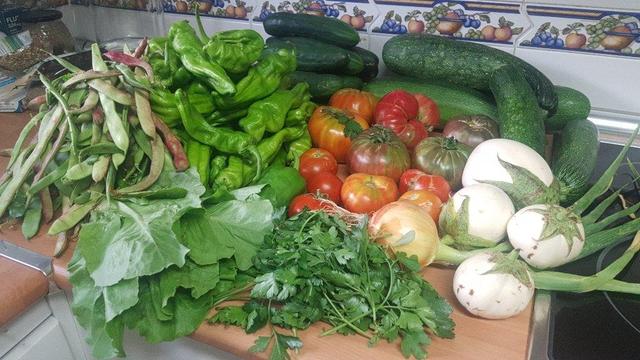 Contenido de la cesta de la semana sobre una encimera de cocina.
A la izquierda, el castell de judías verdes. Luego el de pimientos. El de pepinos y el de calabacines.
Hacia delante unas berenjenas blancas y en el centro, tomates.
Delante del todo una lechuga y un montón de perejil.