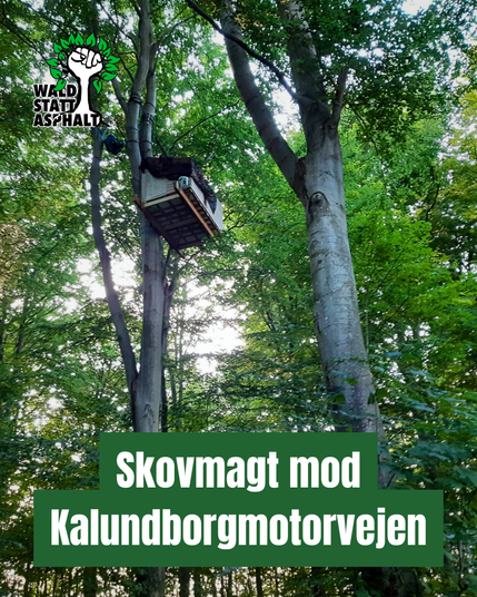 Baumhaus im Wald bei Sonnenschein