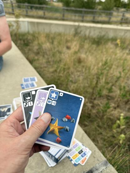 A hand of Sea Salt and Paper in play. Concrete seat in the background with a grass area beyond that.