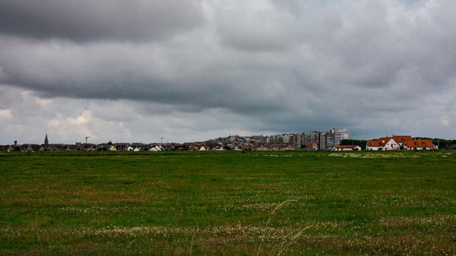 Color photo of a wide green field dotted with wildflowers, stretching toward a town under a thick, overcast sky. In the distance, clusters of low houses and taller apartment buildings rise along the horizon, with a group of red-roofed homes standing out on the right.