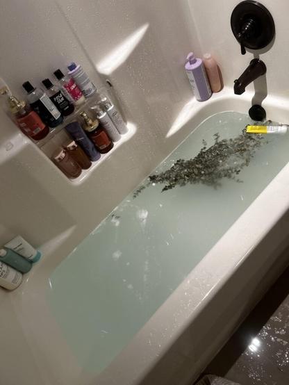 Praying in the shower and the water turned blue… again.