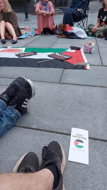 Palestina-samlingen fra sitteperspektiv