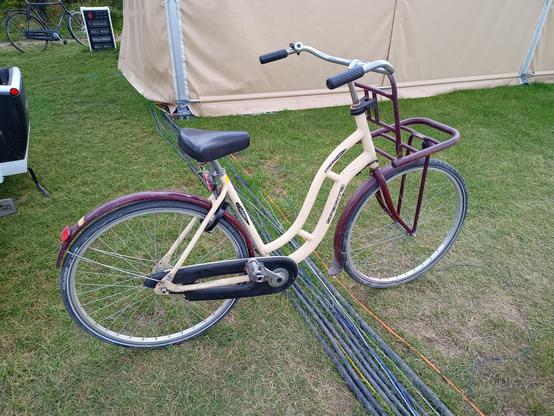 The famous Bike #6