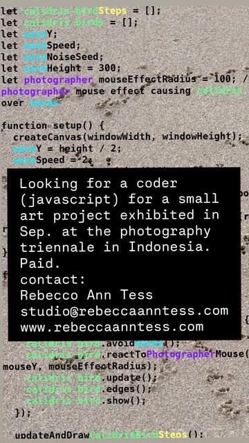 Picture of a job posting against the backdrop of JavaScript code mentioning birds, waves and a photographer. The job posting reads:

Looking for a coder (javascript) for a small art project exhibited in Sep. at the photography triennale in Indonesia.
Paid. contact: Rebecco Ann Tess
studio@rebeccaanntess.com
www.rebeccaanntess.com