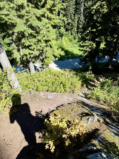 Looking down from the top of a steep rock slab of a lush forest bike trail
