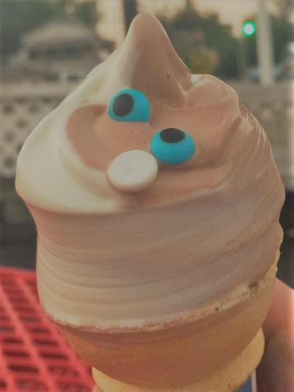 Color image of a chocolate and vanilla swirl ice cream cone with sugar eyes at a summer ice cream stand near Loyal Oak, Norton, Summit County, Ohio, USA.