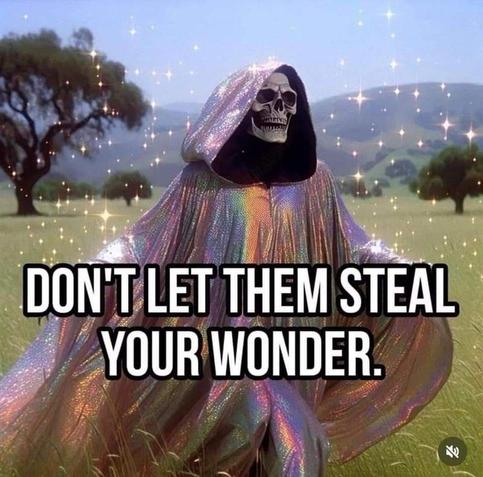 Don’t let them steal your wonder. Says probably Skeletor looking very fabulous.