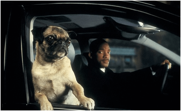Anyone remember the 4chan post about dog aliens?