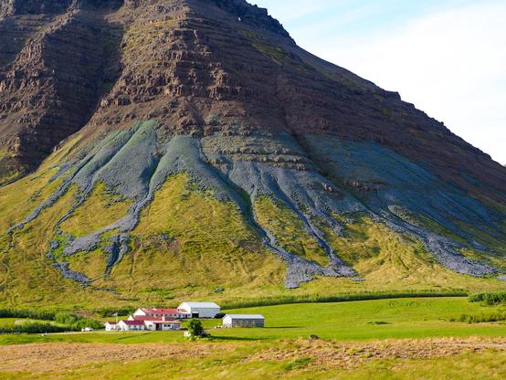 A farm at the foot of a mountain with large numbers of lupines growing on its side, looking almost like purple lava flowing down the mountain.