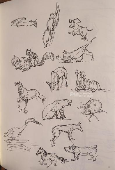 Black Fineliner on paper

Sketches of different animals