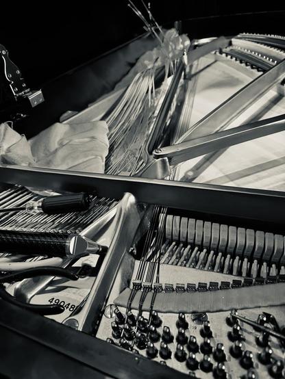 A black and white photograph of a grand piano disassembled, with new strings (wires) laying to the side.