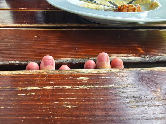 Bin unten greifen kleine Finger durch die Schlitze im Wirtshaustisch.