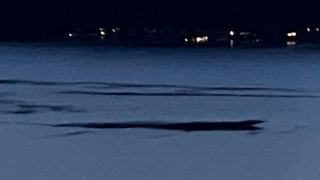 Ogopogo: Witness Spots and Photographs the Alleged Monster of Okanagan Lake, Canada.
