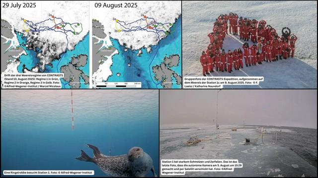 Bild oben links: Drift der drei Meereisregime von CONTRASTS (Stand 10. August 2025).
Bild unten links: Foto einer Ringelrobbe bei Station 1
Bild obren rechts: Gruppenfoto der CONTRASTS-Expedition
Bild unten rechts: Bild Station 1 kurz vor dem Zerfallen