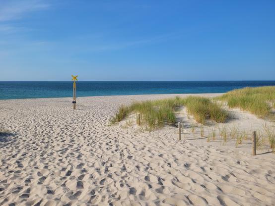 Foto von einem Sandstrand am tiefblauen Meer unter einem blauen Himmel. Etwas Strandhafer im Vordergrund sowie ein Pfahl mit einem gelben Kreuz.