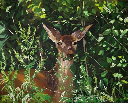 A realistic painting of a deer partially hidden among dense green foliage. The animal’s head and upper body are visible, with its large ears pointed forward and dark eyes looking toward the viewer. Layers of leaves and plants in varying shades of green surround the deer, creating a natural, camouflaged setting.